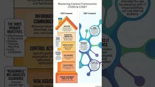CIA Part 1 I Unit 9.3 Control Frameworks | Hinglish Shorts 36/39