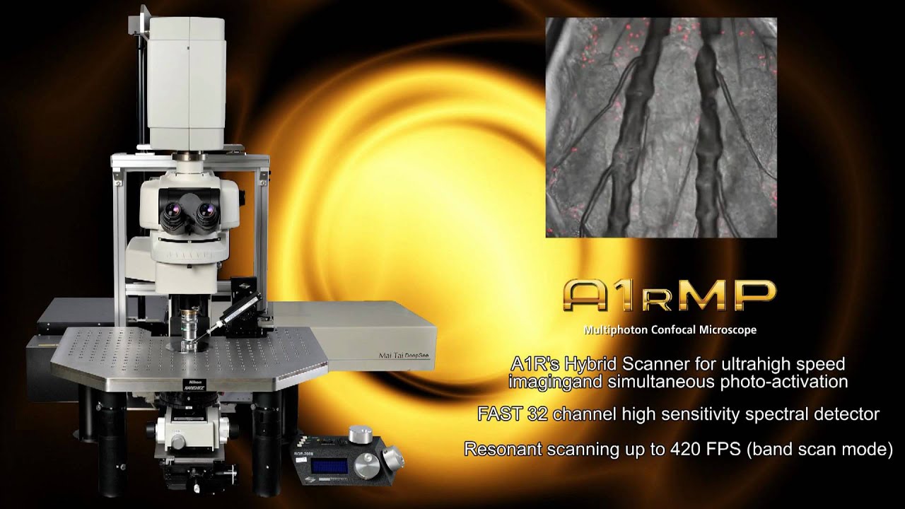 Nikon Systems for Cell BIology YouTube