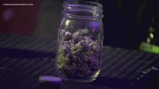Portland Officials discuss recreational pot sale regulations