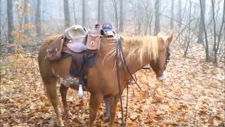 And Now...we Ride.