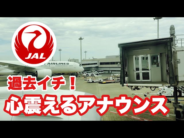 ゆきでございます♪^ ^ The best announcement ever] December flight! I still remember the