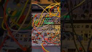 WORNG Electronics LRMSMSLR (Black and gold panel) - Eurorack