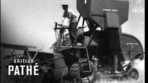 The World's Granary Fills Up (1948)