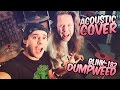 Acoustic Cover &quot;Blink 182 - Dumpweed&quot; by Tom and Juho from MadCraft