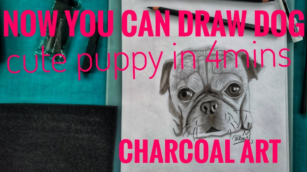 cute puppy Arthow to use charcoal pencil for beginner🪄 ️drawing art