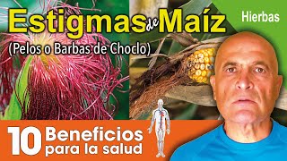 ESTIGMAS MAÍZ 🌾. 10 Beneficios para la Salud 💜