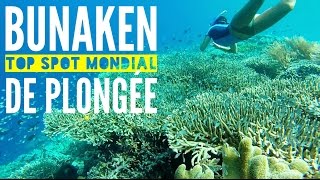 Indonésie Sulawesi Bunaken Top 5 Mondial Pour La Plongée