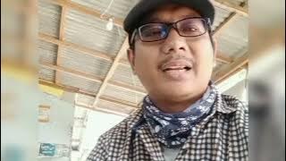 topik timur wis kepalang demen cover yeyen ismantoro
