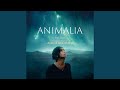 Miniature de la vidéo de la chanson Animalia Main Title 1