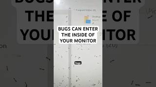 Bugs can enter your monitor easily