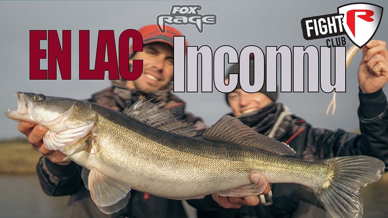 Sandres :  en lac inconnu  