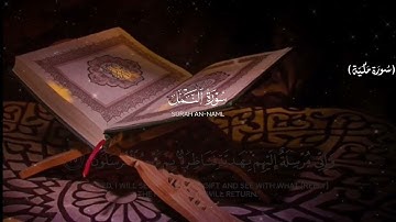تلاوة هادئة للنوم سورة النمل كاملة | القارئ طارق محمد | القرآن الكريم بصوت عذب وجميل #تلاوة_خاشعة 