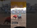 badal don bachoti dedhaka