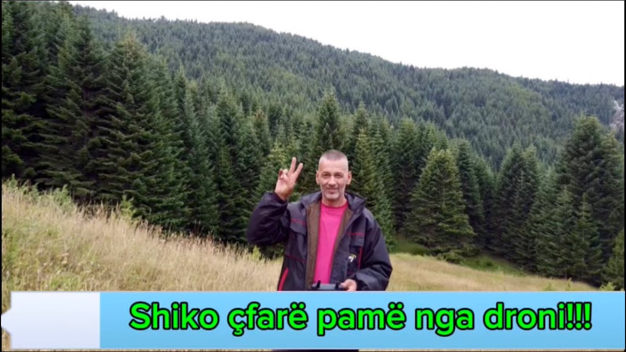 Një ditë larg gjithçkaje – në zemër të pyllit të egër 🌲
