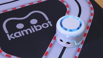 Kamibot following a line