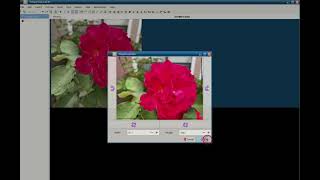 Cherry Tree Program Intro