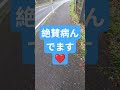 双極症 ウォーキング