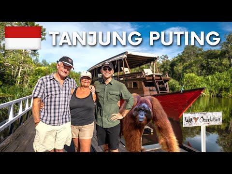 Tanjung Puting Borneo - The Orangutan BUCKET LIST Tour (4 days)