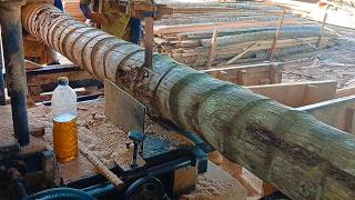 Massive Coconut Logs! Latest Extreme Sawing Compilation Footage