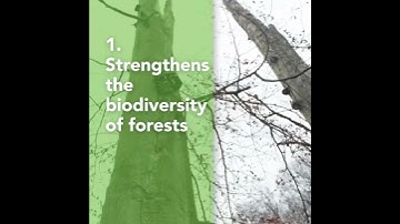#ForestBiodiversity Teaser 1#: SFM and the conservation and enhancement of biodiversity