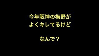 今年阪神の梅野がよくキレてるけどなんで？