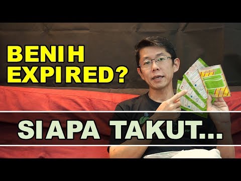 Video: Benih Sayur. Pemilihan, Penyimpanan