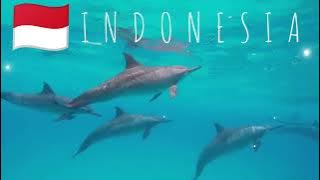 Negeri tercinta nasyid Marhamah