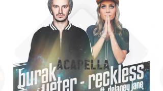 Burak Yeter - Reckless Ft.Delaney Jane (Acapella)