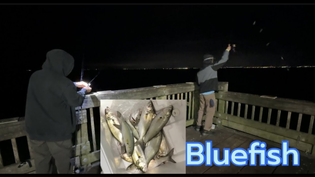 Family Night Fishing for Bluefish l James T. Wilson Fishing Pier in Hampton, Virginia