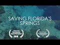 Saving Florida's Springs