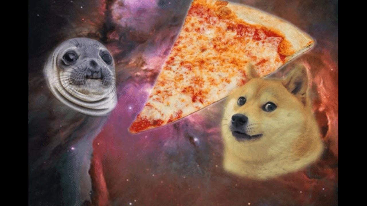 DOGE Y CHEEMS 3