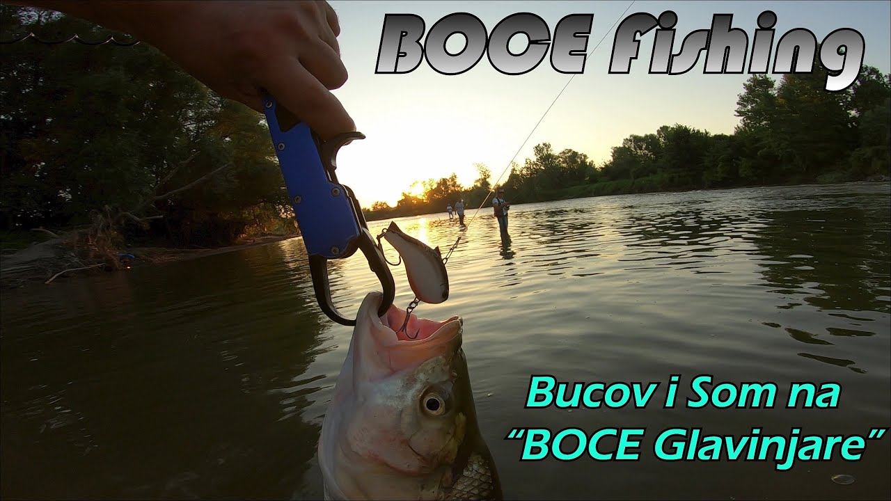 Varalicarenje Bucova i Soma 