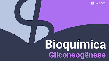 O que é a Glicogenolise?