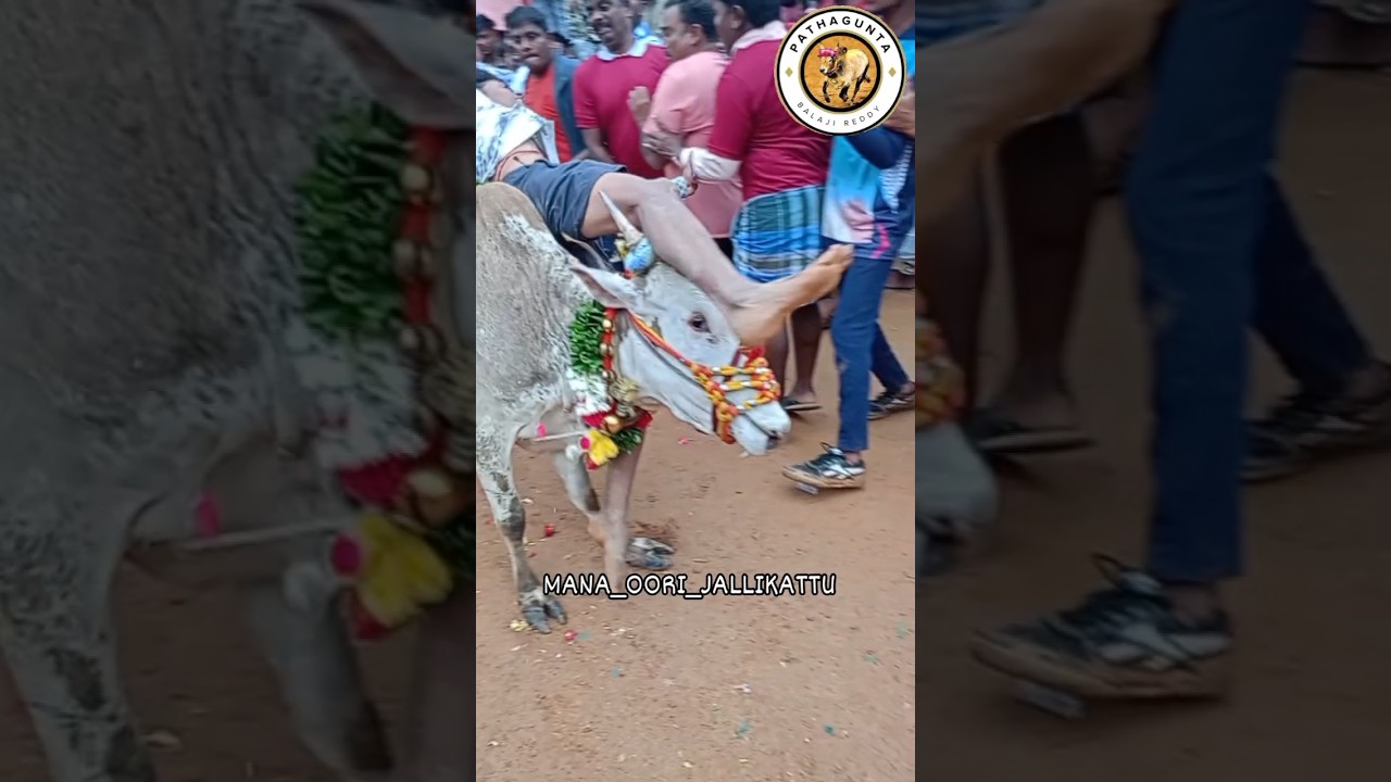 Eruthukattu whatsapp status
