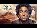 Aalach Ya Ghzali Gnawa Cover Traditional Moroccan Fusion 