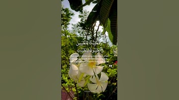 سورة النور : ٢٥ - ٢٦ | سلمان العتيبي