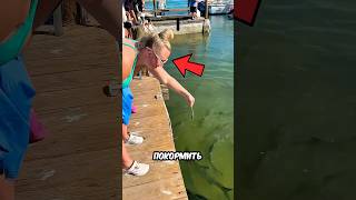 Хотела покормить рыбу, а покормила…😳🫢