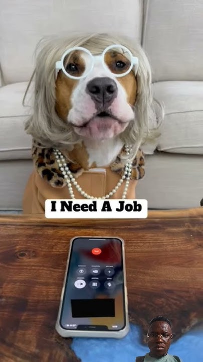 can-your-dog-speak-english-perfectly-dogs-shorts-dogsviral
