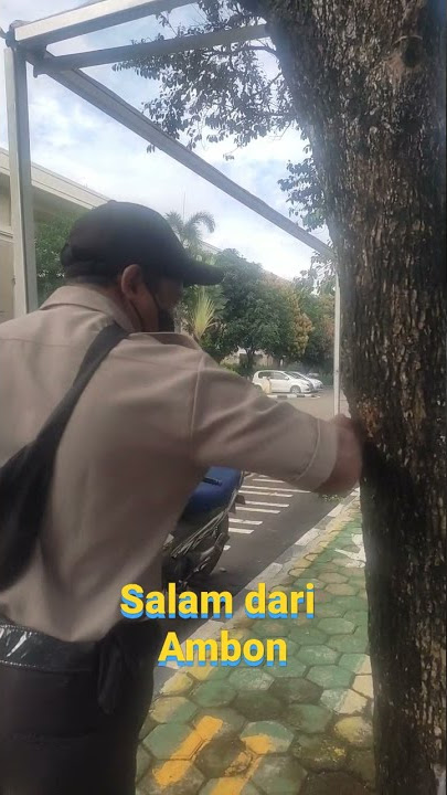 Salam dari Ambon #viral #ambon #tiktok #salambinjai#betajanjibetajaga