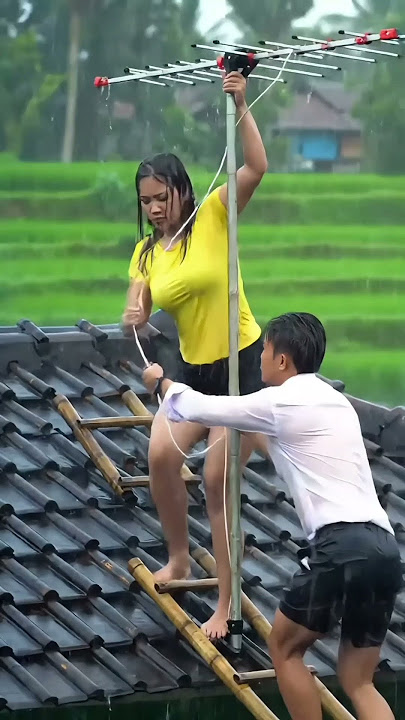 because of the rain #rain #raininap #rainoundforsleep #beauty #rainforrest #asmr #shortvideo