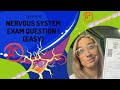 Understanding the Nervous System and Reflexes