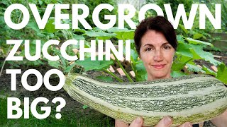 How to Use Giant Zucchini? Best Overgrown Zucchini Recipes