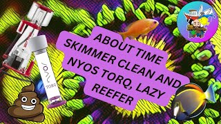 Youll Never Believe What Happens When a Lazy Reefer Tries Skimmer Cleaning...