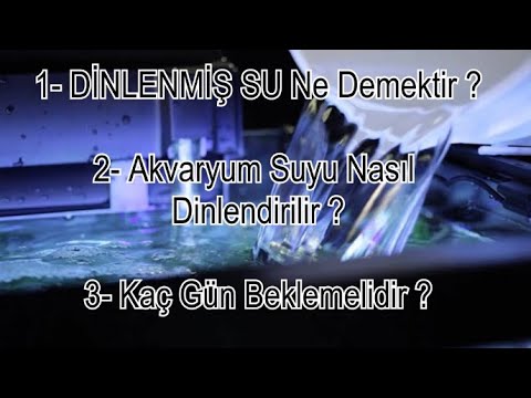 Video: Tatlı Su Balık Tankı Nasıl Başlatılır