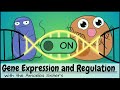 The Art of Gene Expression and Regulation