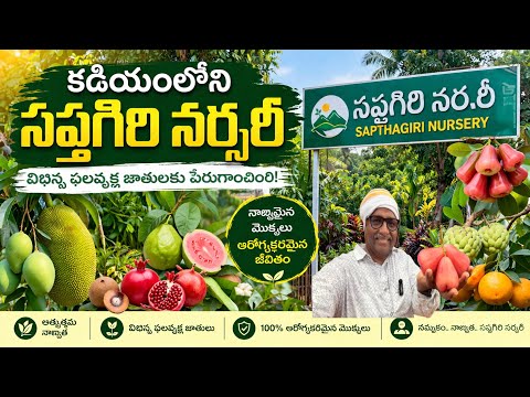 కడియంలో విభిన్నమైన నర్సరీ!