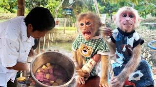 Uncle Nam Cooks a Special Meal for Jobi & Hope | Cute Monkey Reaction