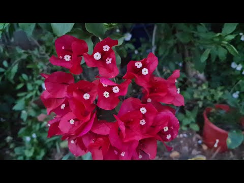 ผลสลากกินแบ่งรัฐบาล วันที่ 1 พย. 2567