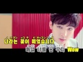【カラオケ】SEVENTEEN - 만세 (MANSAE)