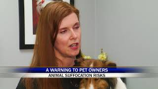 A Warning To Pet Owners About Food Bag Suffocation Risks